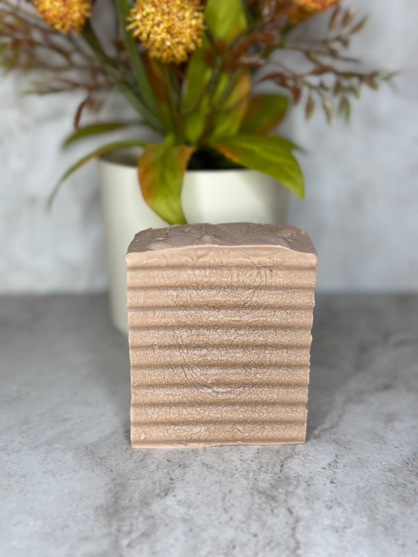 Coconut Clay: Natural Body Bar