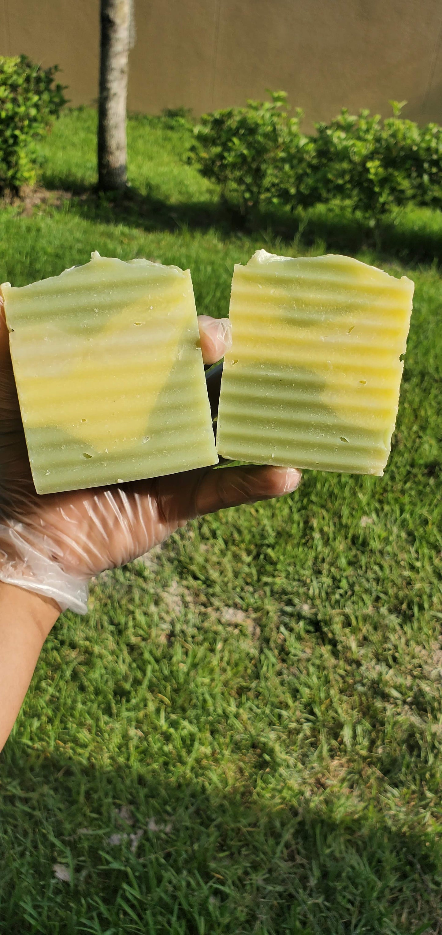 Aloe: Natural Face Bar